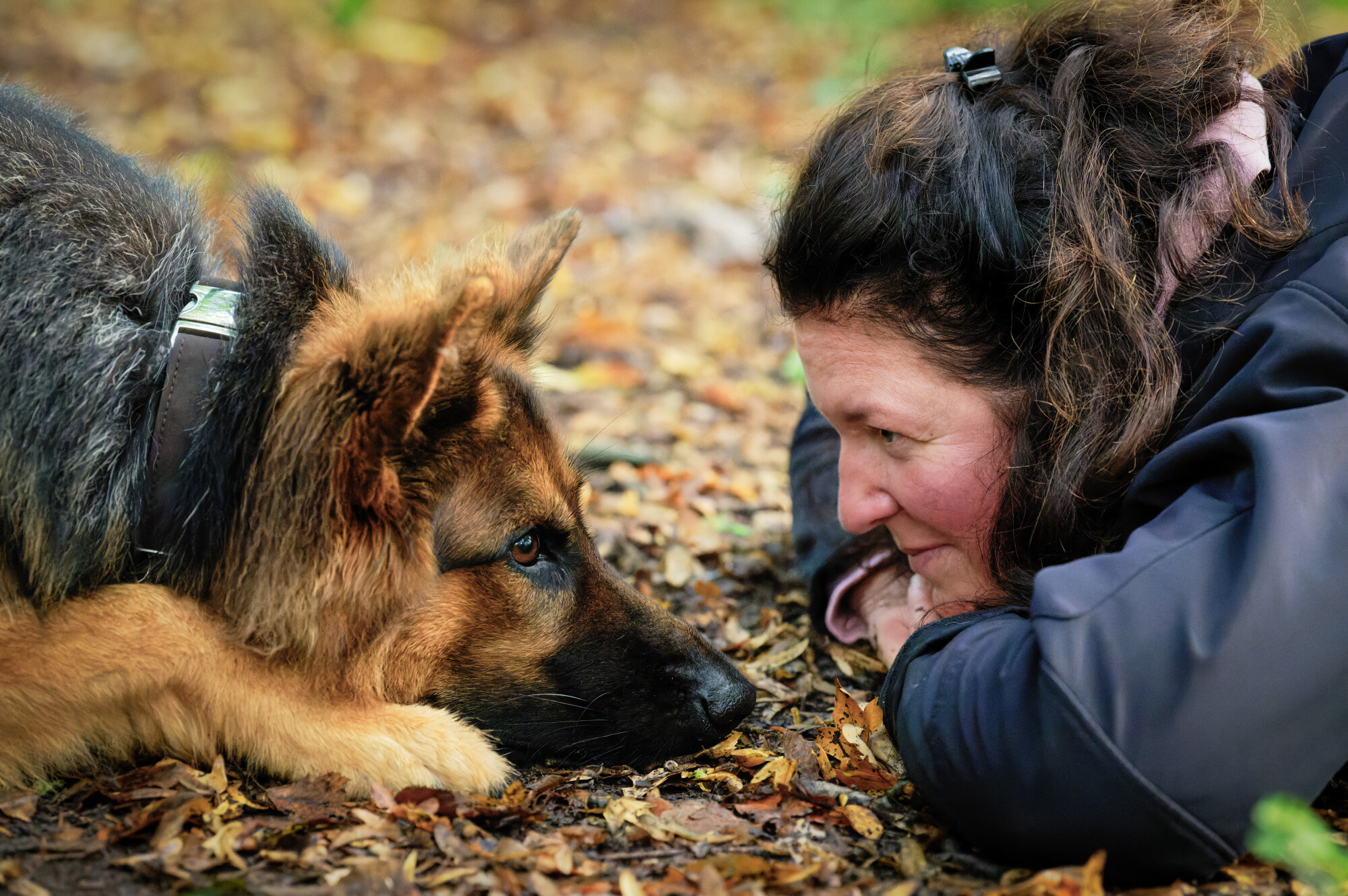 Nicole Minke Hundetraining & Co.